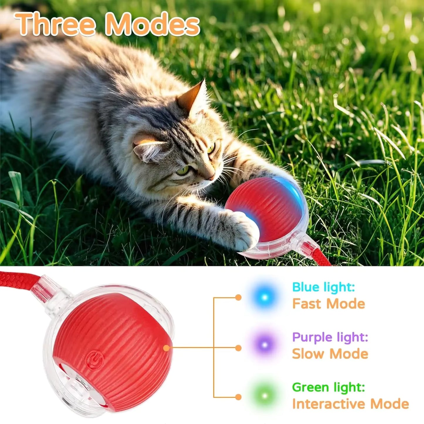 Interactive Smart Pet Ball