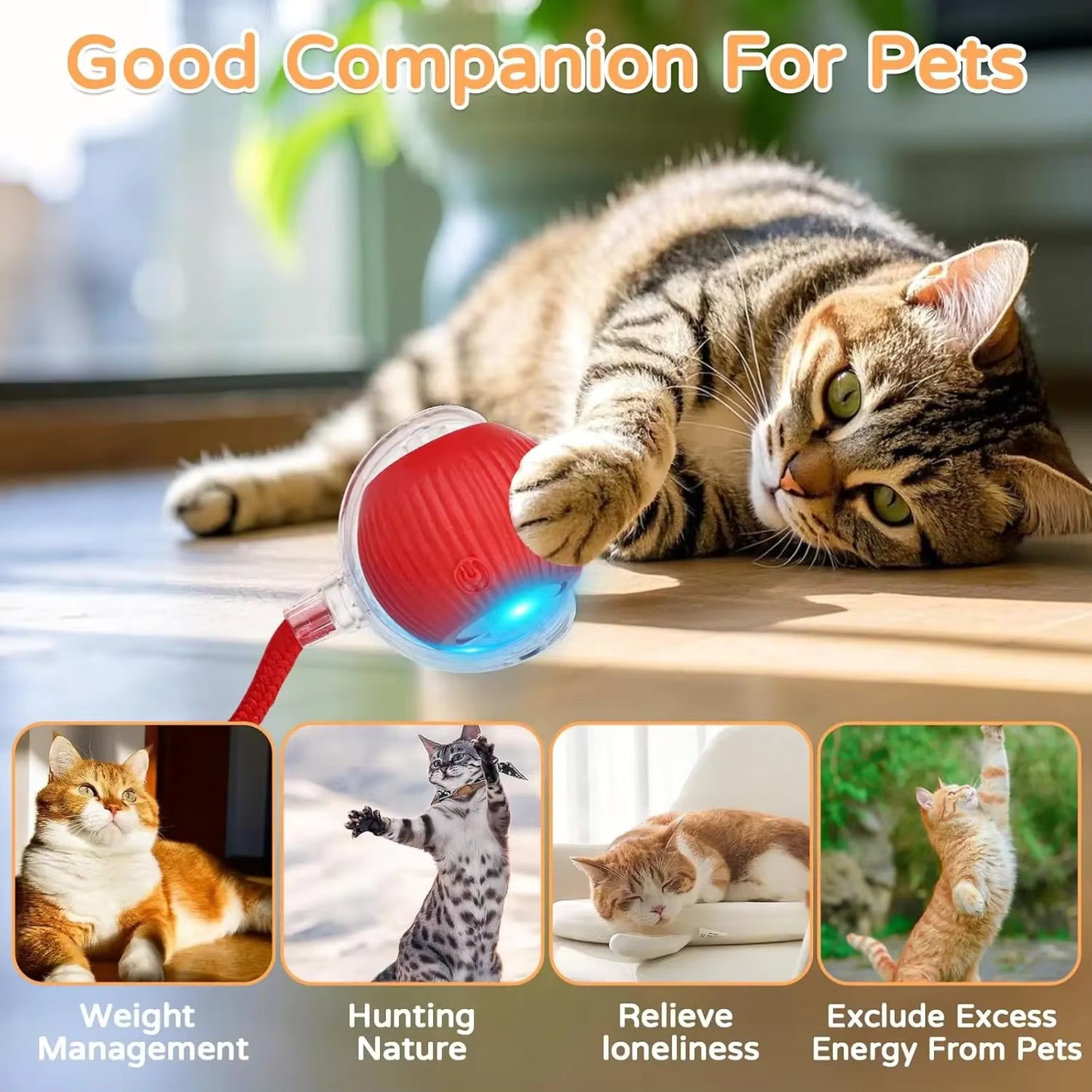 Interactive Smart Pet Ball