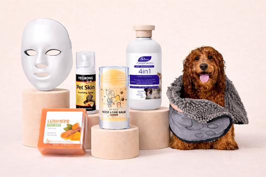 Paquete Ritual Familiar: Cuidado Superior para Ti y Tu Perro