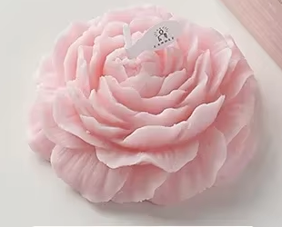 Elevated Home Bundle: A Calm & Luxurious Living Space